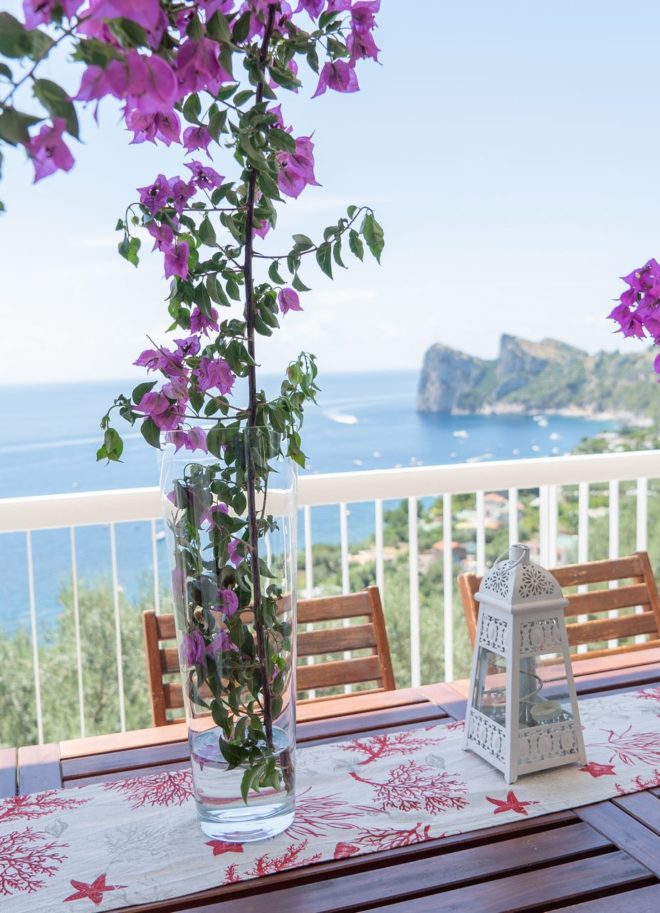 Olga's Resort - Amalfi Coast Villa sorrento apartment private pool Naples Pompeii Capri Island ItalyDSC01170